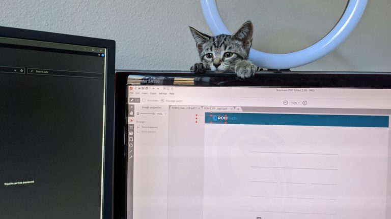 Kitten attack monitor